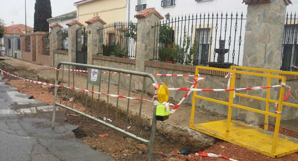 Critican el arrancamiento de varios rboles