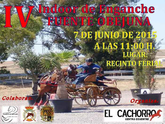 Celebraci�n del IV Indoor de Enganches