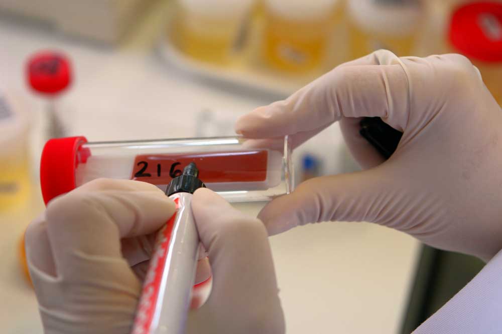 Producción Científica 2014