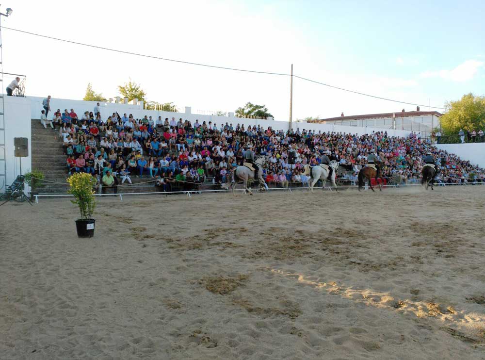 Espect�culo ecuestre