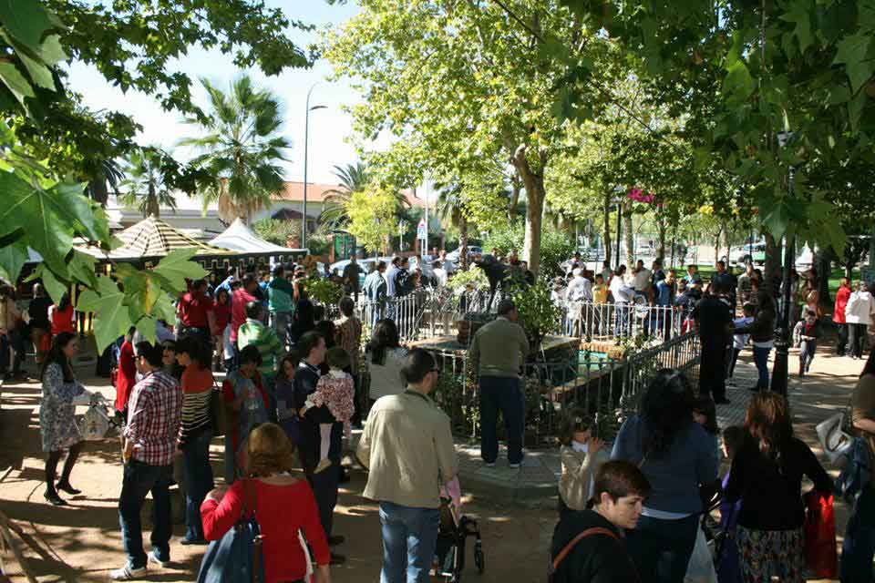 Foto II Feria Mozrabe en Pearroya