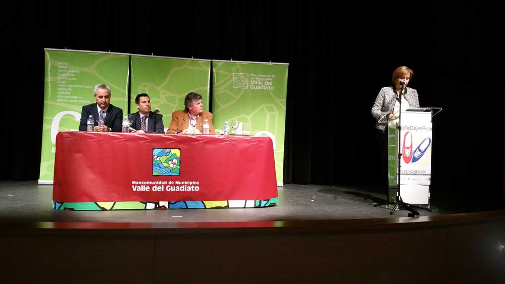 Da Internacional contra la Violencia de Gnero