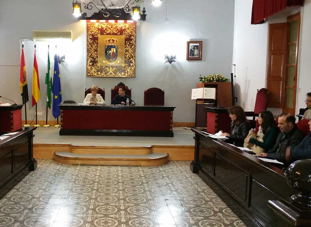 Pleno del mes de diciembre