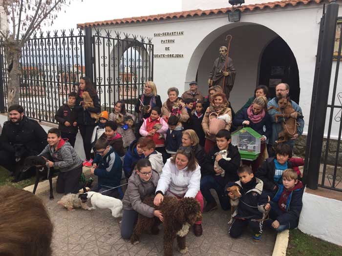 Bendici�n de animales por San Ant�n en Fuente Obejuna