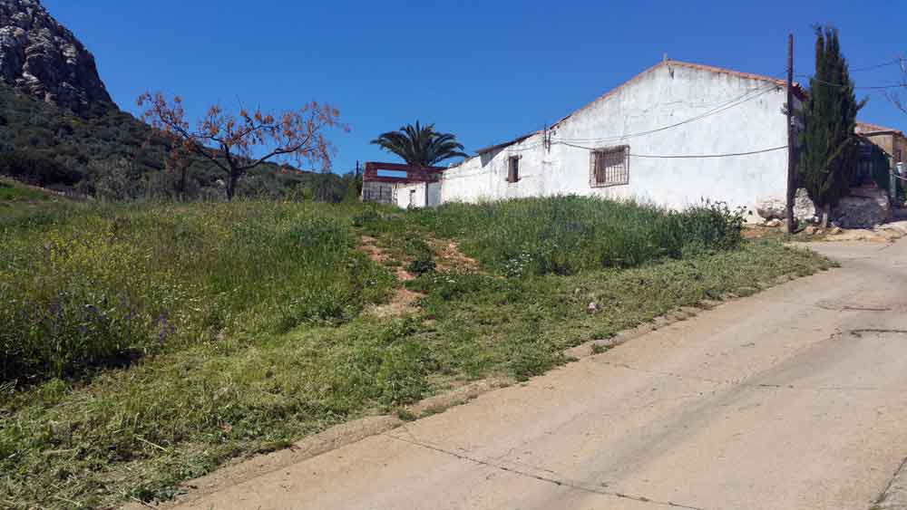 El Ayuntamiento actuar en la calle Puerto