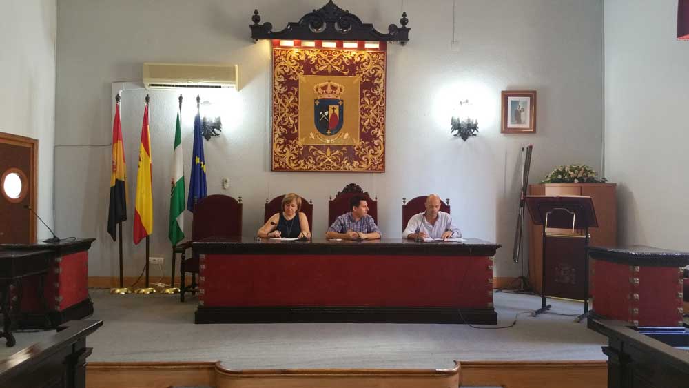 Formar parte de la comision de trabajo de la FEMP