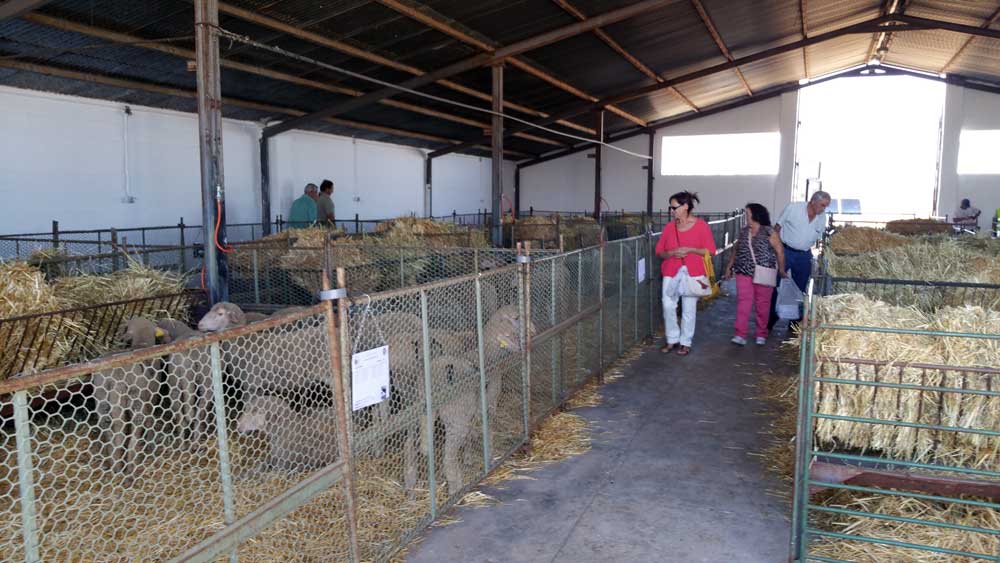 FAGA se celebrar� del 23 al 25 de septiembre