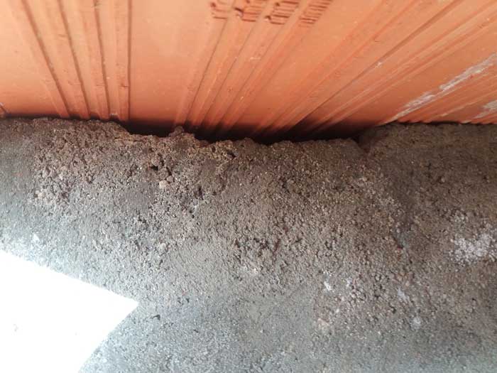 Olores y deficiencias en el cementerio del distrito de Pearroya