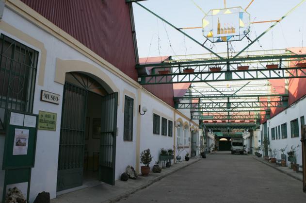 Traslado del Ayuntamiento a mancomunidad