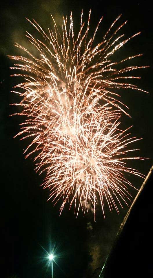 Feria de Nuestra Seora del Rosario