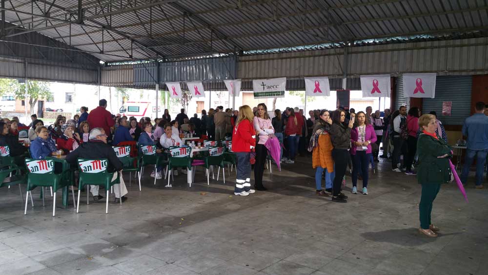 Actividades organizadas por la AECC de Pearroya