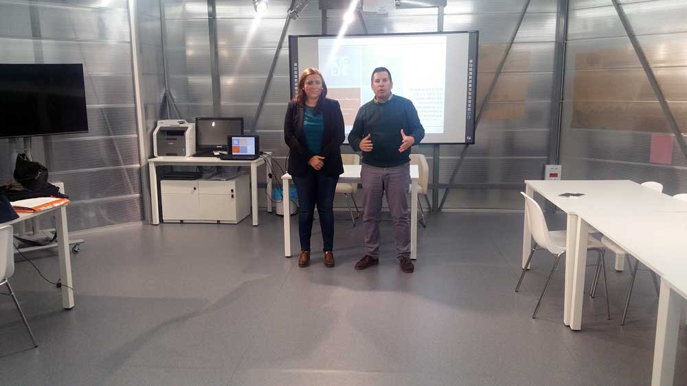 Plan Director de la red de Centros de Iniciativas Empresariales