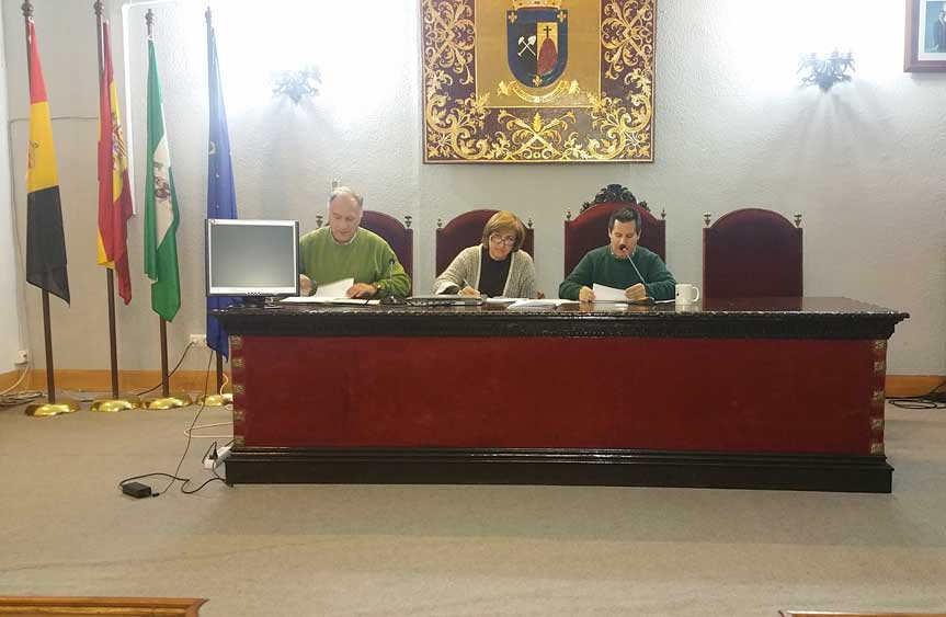 Cuentas anuales de promociones industriales