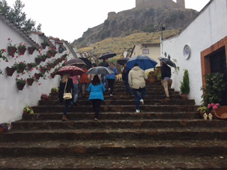 Concurso de patios, rincones y rejas