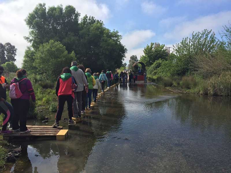 Romer�a de San Isidro Labrador en Belmez