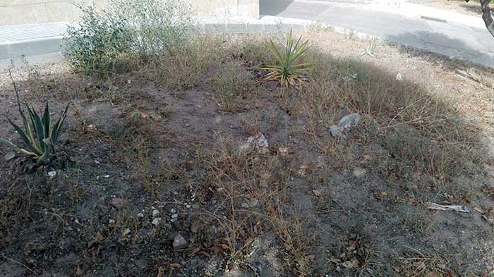 Abandono y dejadez en la barriada