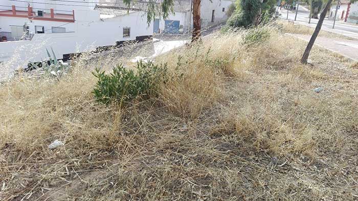 Abandono y dejadez en la barriada