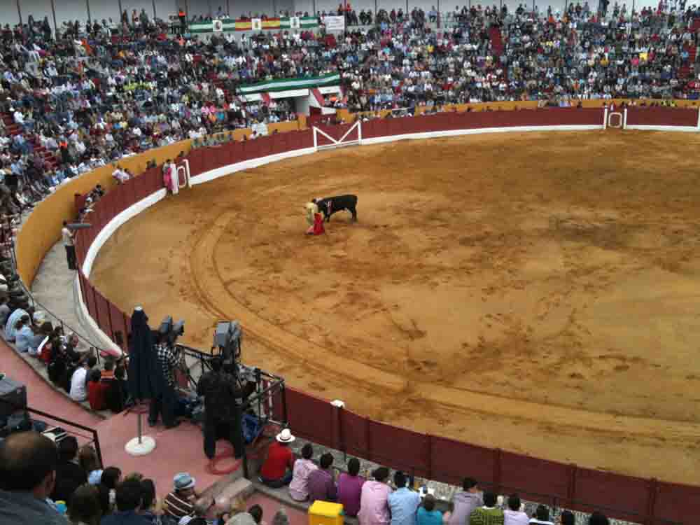 Ciclo de novilladas de promoci�n 