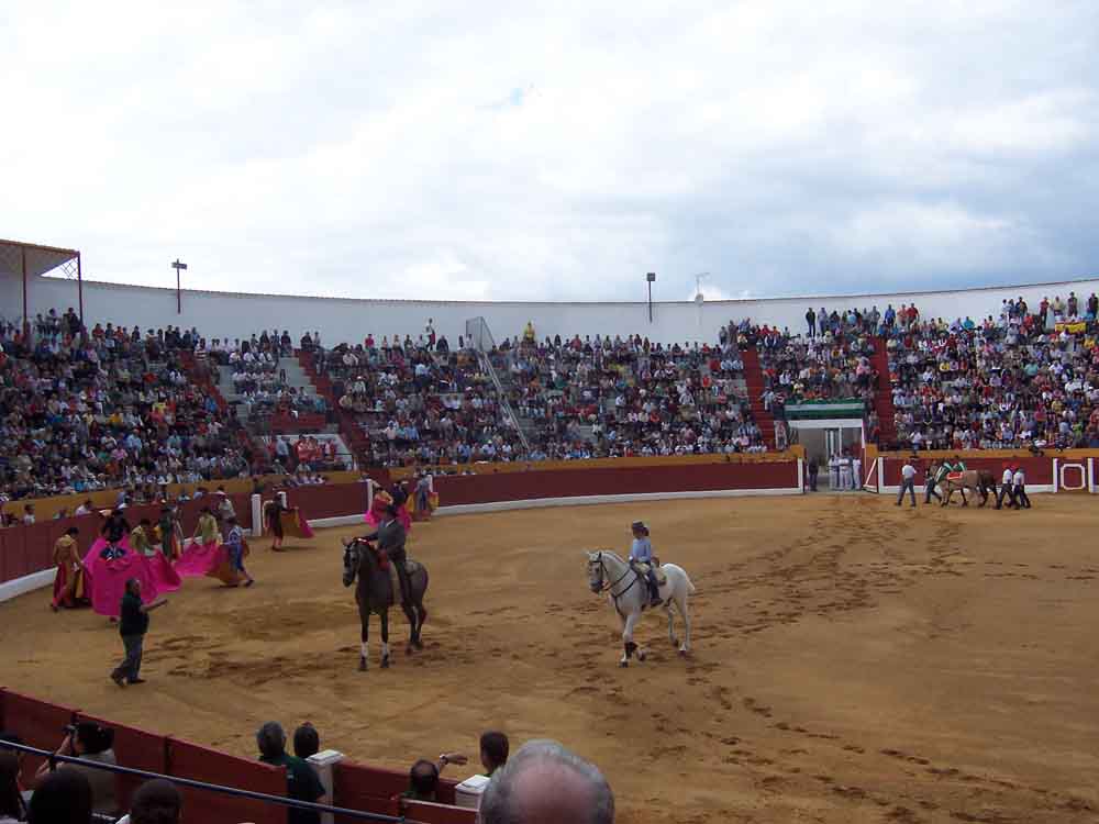 Ciclo de novilladas de promoci�n 