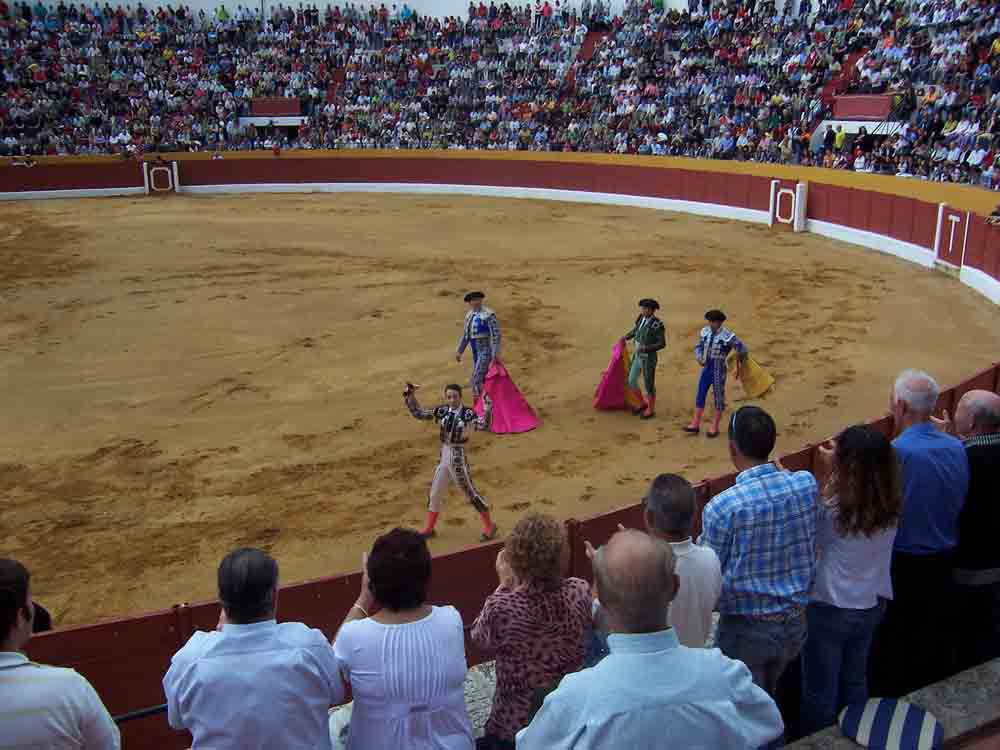 Ciclo de novilladas de promoci�n 