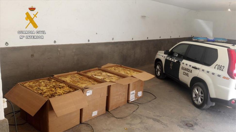Llevaban en un veh�culo cuatro cajas de hojas de tabaco prensadas