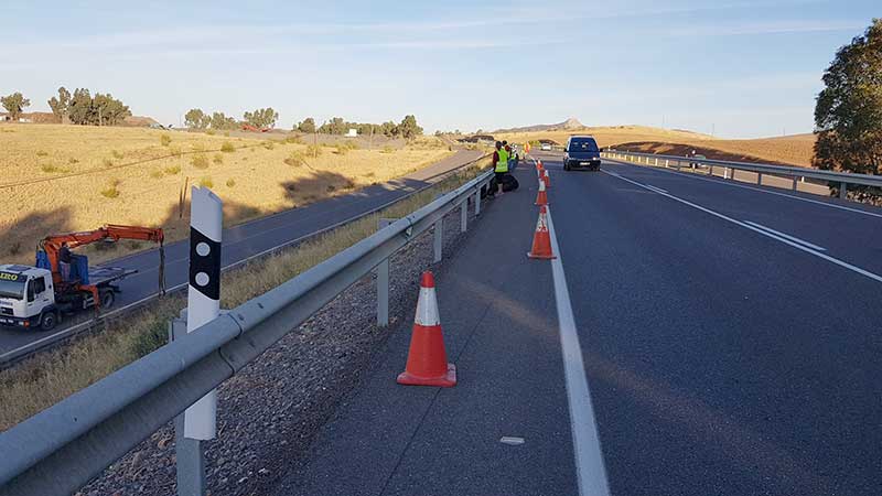 Un caballo había invadido la N-432