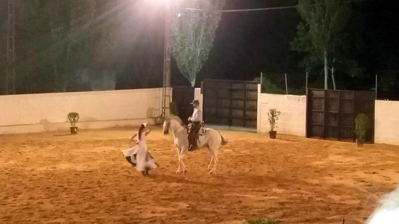 Espect�culo ecuestre `Aire andaluz` en FAGA 2017