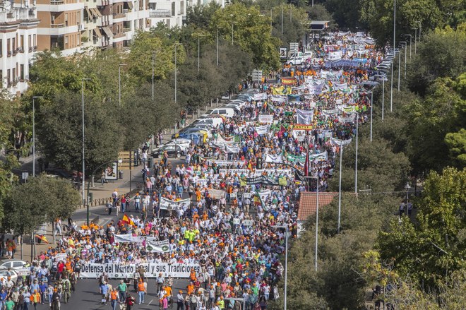Multitudinaria manifestacin en Crdoba este sbado