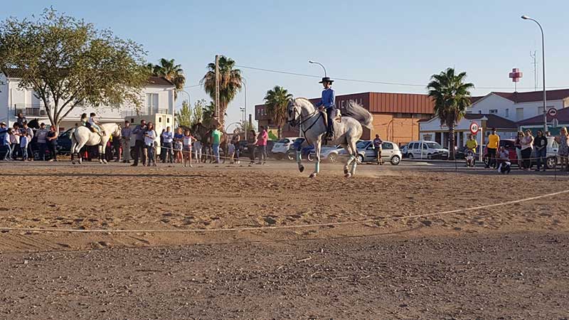 Espectculo pirotcnico