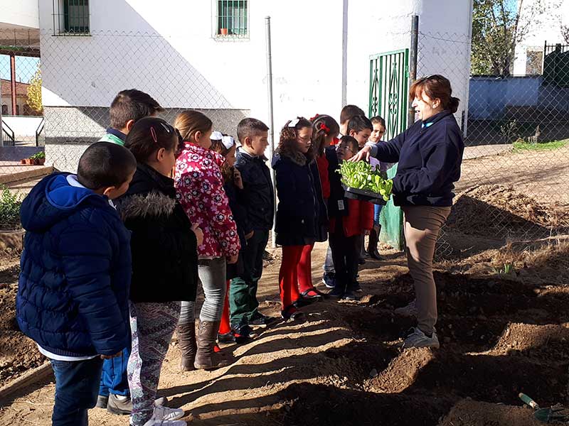 Huerto escolar CEIP Aurelio Sánchez