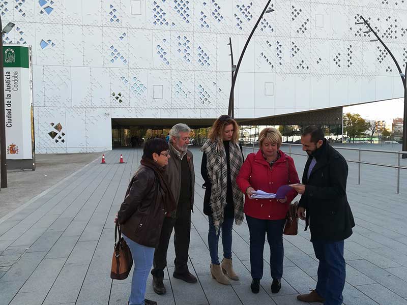 La vista est� prevista para el pr�ximo 14 de marzo 