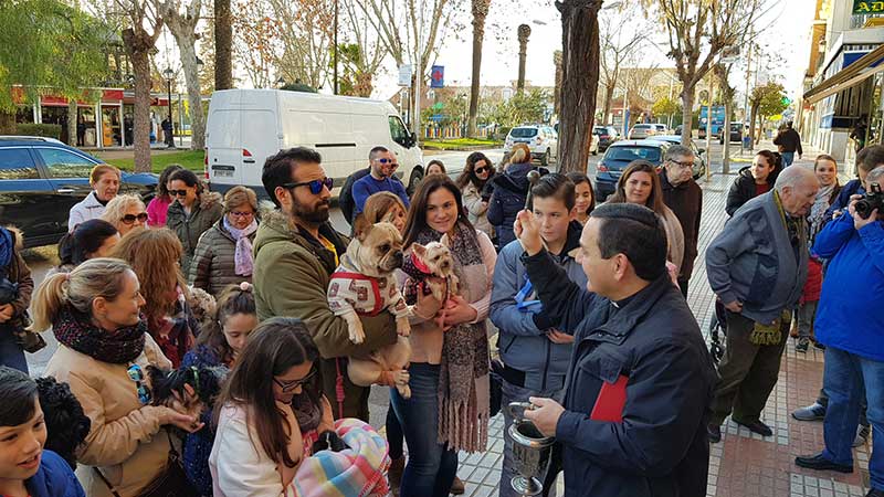 Las mascotas protagonistas en la bendicin de San Antn