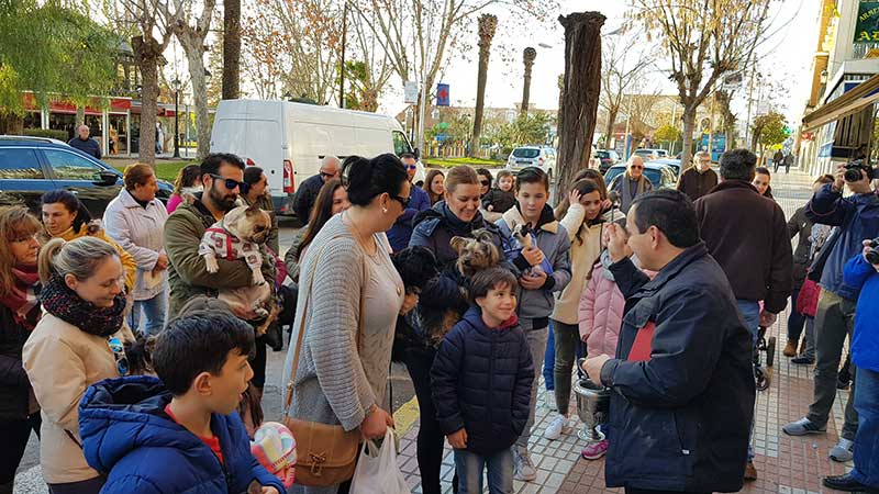 Las mascotas protagonistas en la bendicin de San Antn