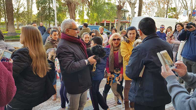 Las mascotas protagonistas en la bendicin de San Antn