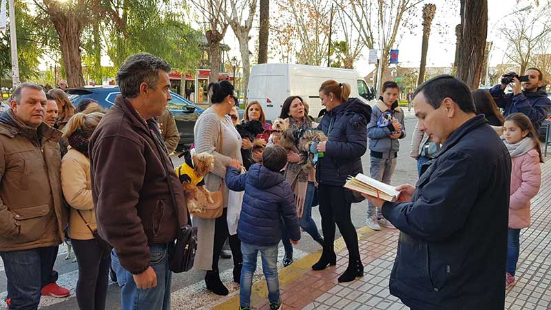 Las mascotas protagonistas en la bendicin de San Antn
