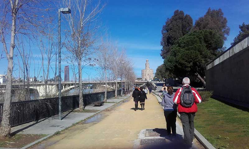 La teología del colesterol