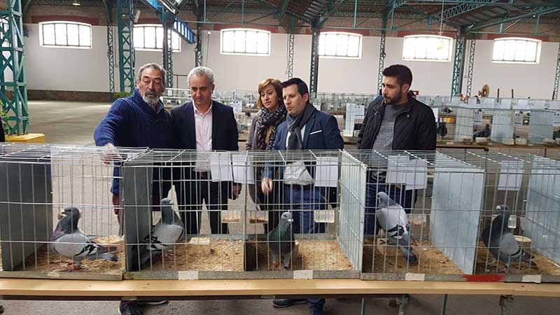 Comienza la Feria Avcola de Pearroya Pueblonuevo