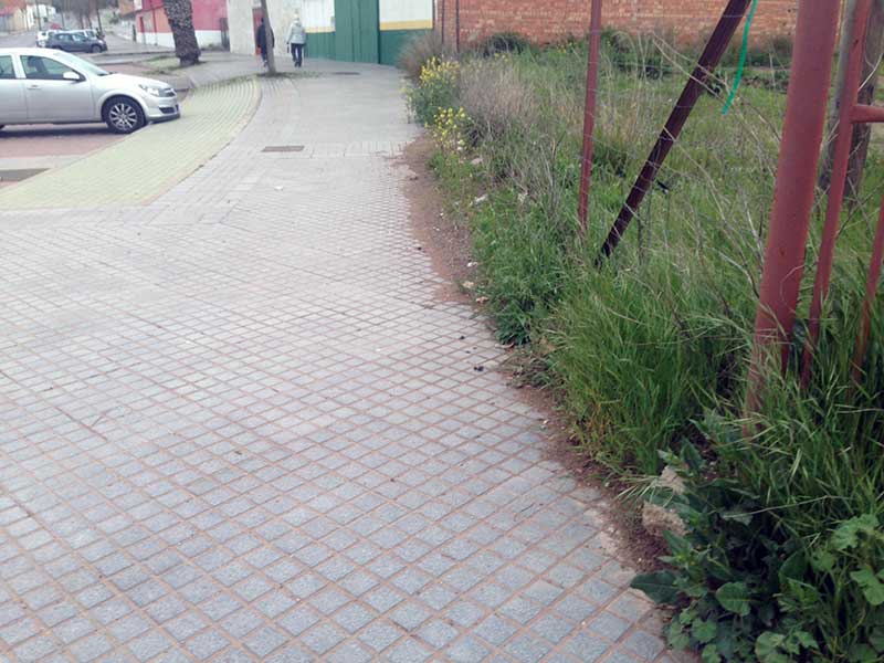 Abandono de hierbas en las aceras,  Avda. Andaluca