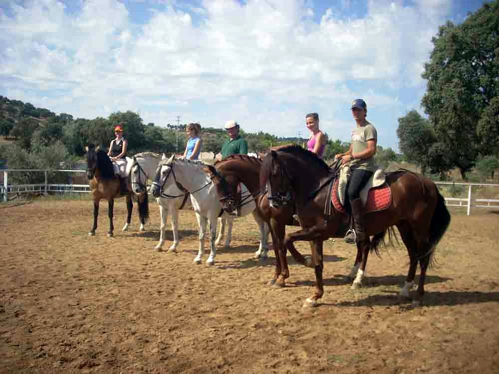 Primer curso intensivo de equitacin