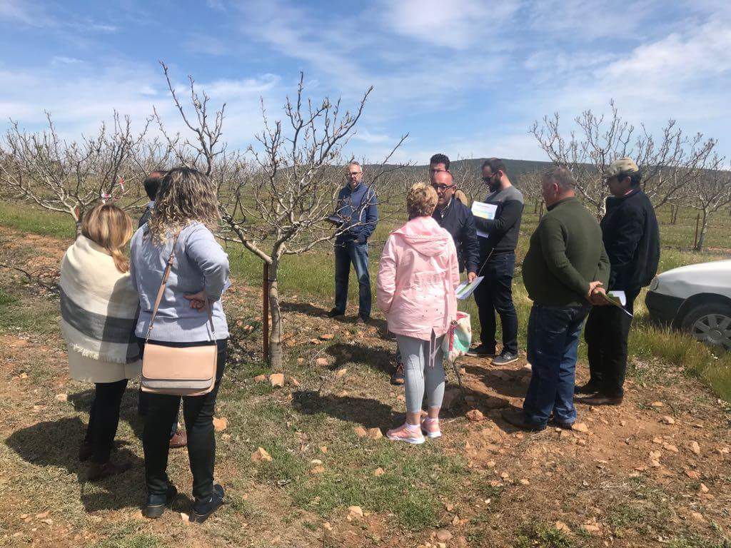 El pistachero como cultivo alternativo en el Guadiato