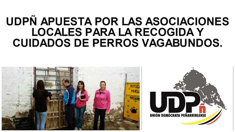 Nota de prensa de UDP