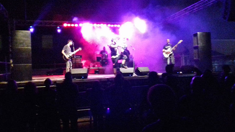         Festival A Pico y Pala     	