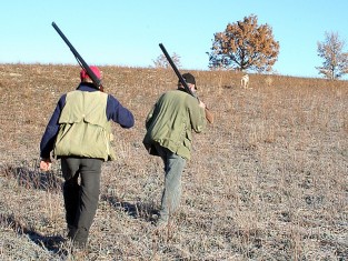 Les piden 18 meses por abatir dos ciervas con un arma prohibida