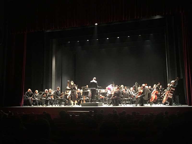 Conciertos did�cticos del �rea de Cultura de la Diputaci�n 