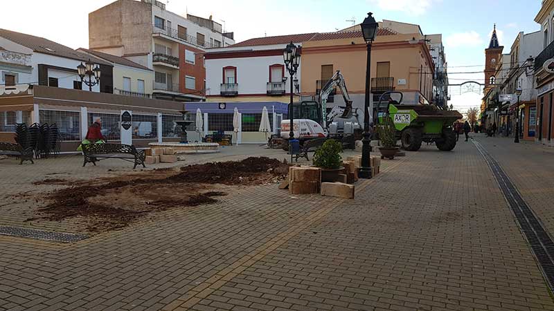 Retiran los tocones de las palmeras de la Plaza Eulogio Paz