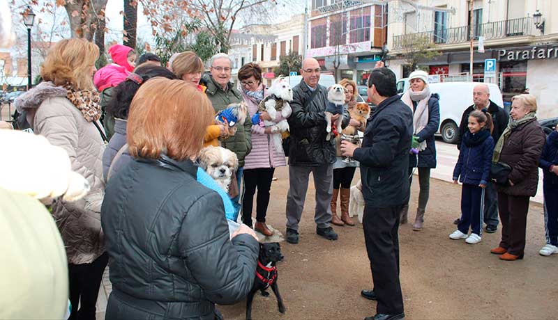 Mascotas protagonistas en la bendicin
