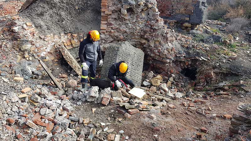 Unidades caninas de los bomberos de Crdoba y Cdiz