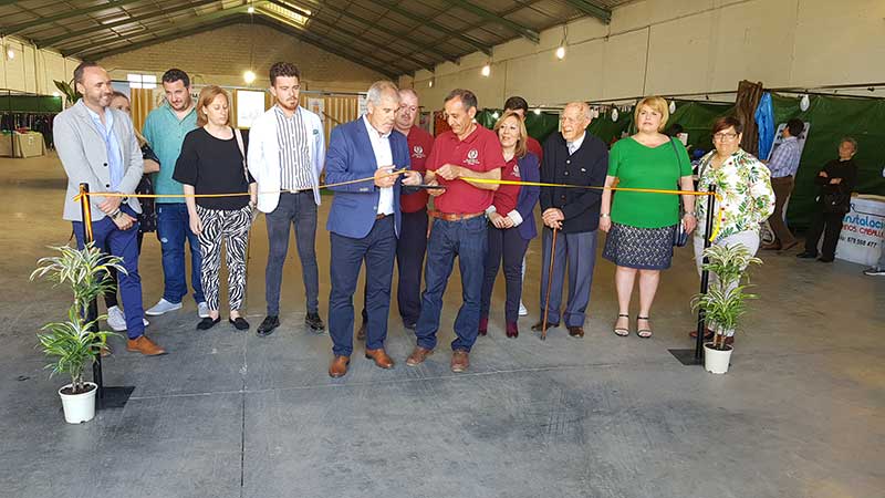 Feria agroganadera, muestras y alimentaci�n de Belmez