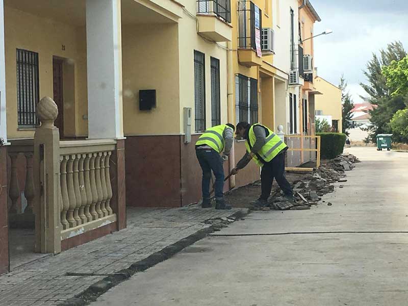 Sustitucin del acerado en la avenida de Los Pinos
