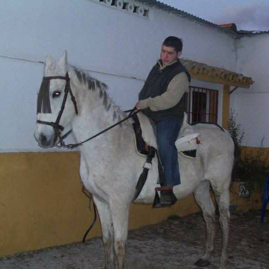 Su ayuda siempre la tienes